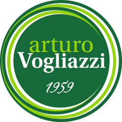 Arturo Vogliazzi
